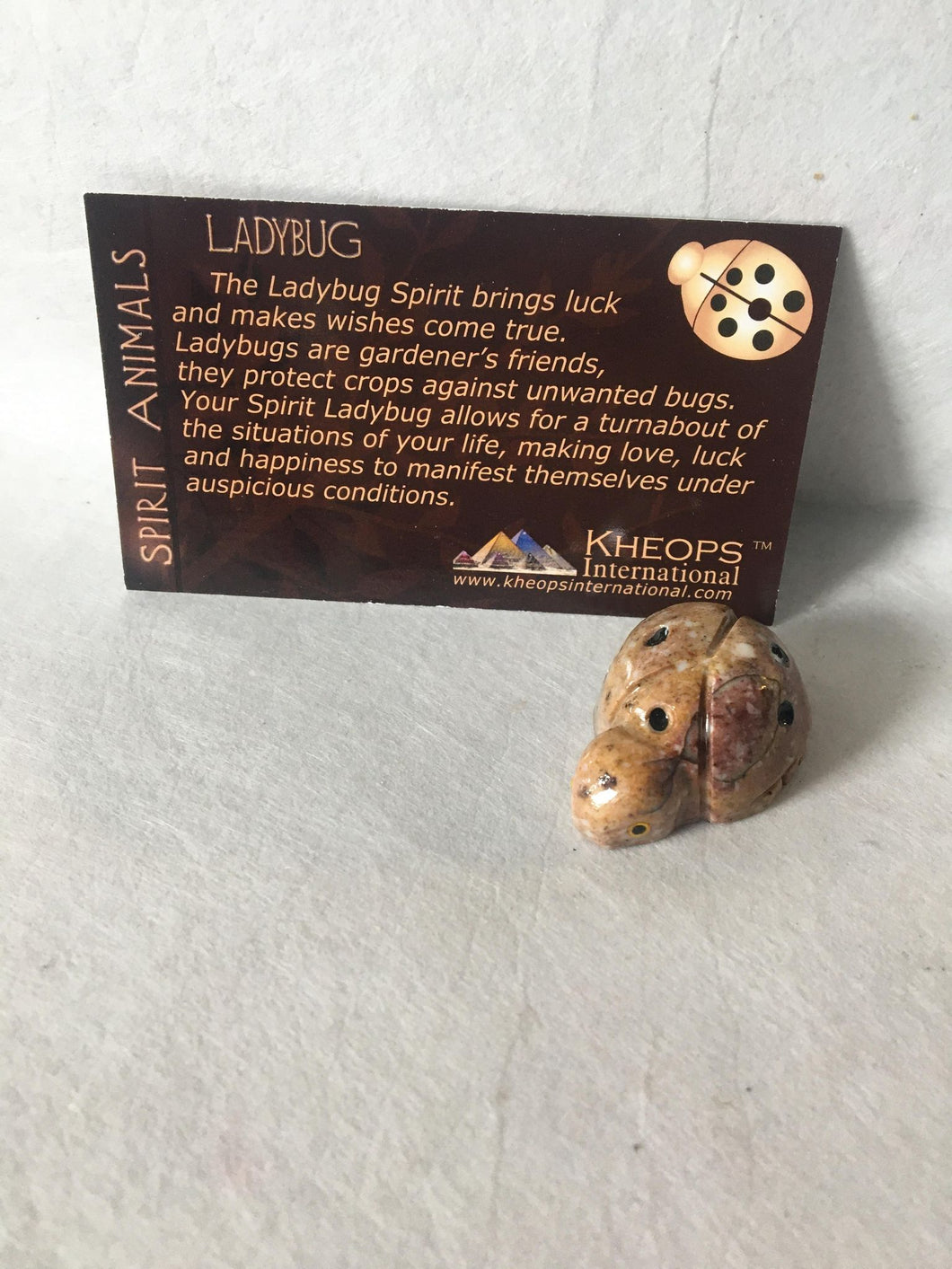 Dolomite Ladybug Spirit Animal